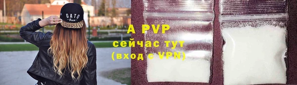 хмурый Аша