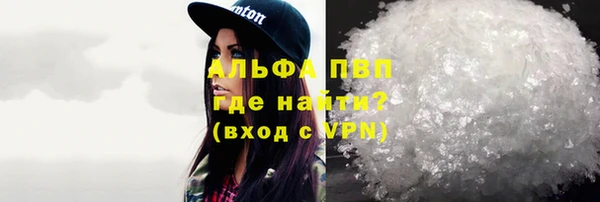 соль ск Новодвинск