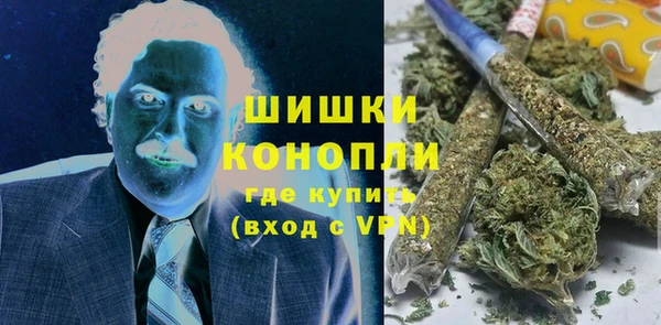 соль ск Новодвинск