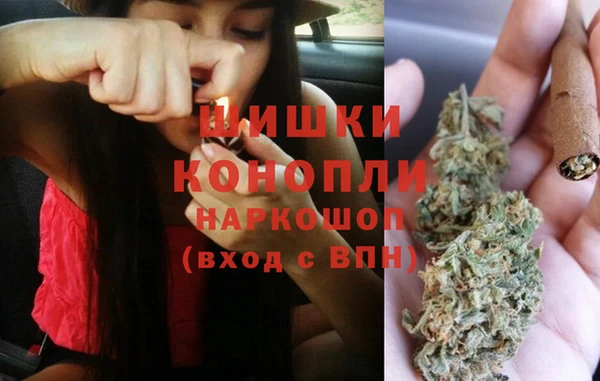 соль ск Новодвинск